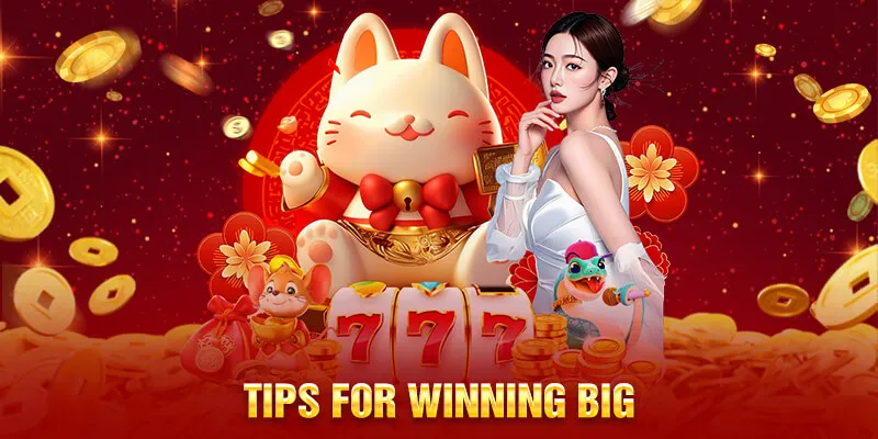 Tips for Winning Big